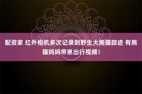 配资家 红外相机多次记录到野生大熊猫踪迹 有熊猫妈妈带崽出行视频！
